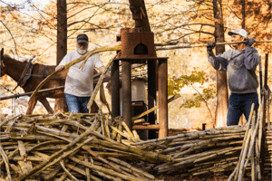 syrup making